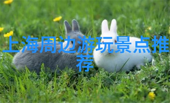 浅谈法国红酒文化