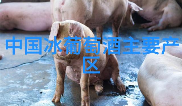 法国不同产区的酒瓶特征