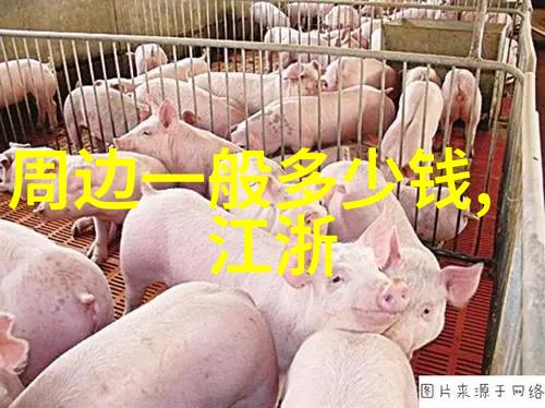 各式汤与葡萄酒和啤酒搭配的终极指南