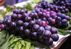哪种葡萄更好吃常见葡萄品种介绍